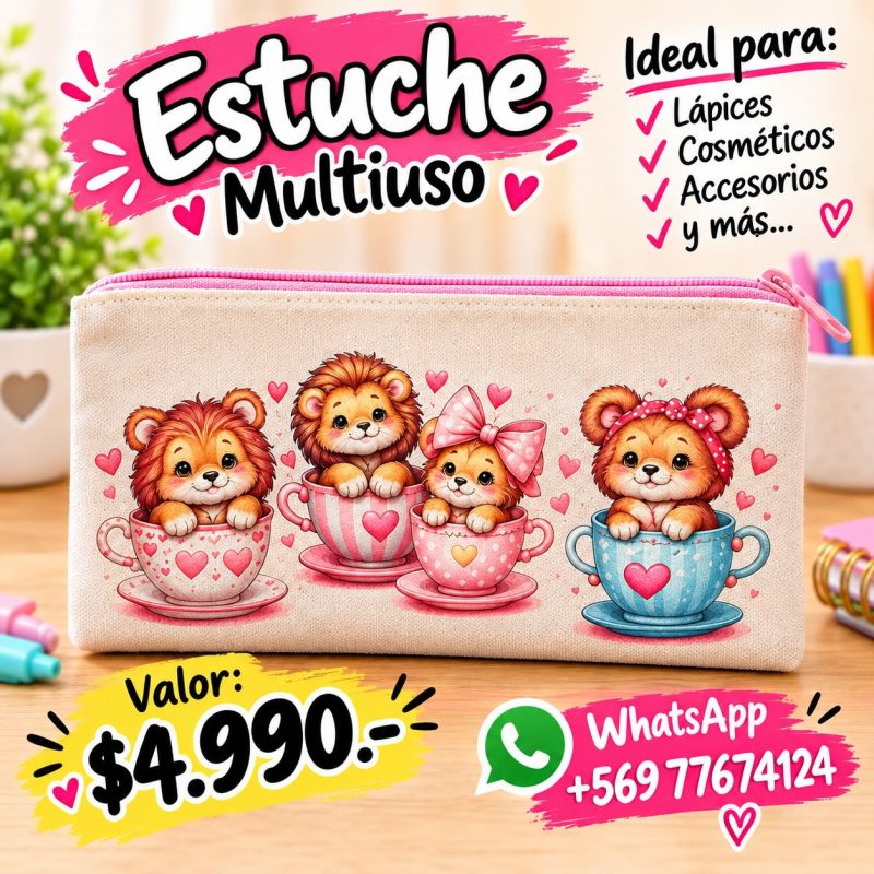 estuche02